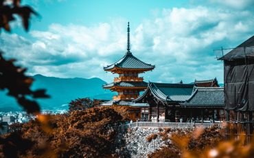 cosmin-georgian-gd3ysFyrsTQ-unsplash