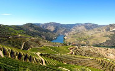 Dolina-Douro-7